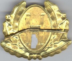 Badge Officer Air force cap badge 