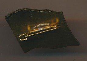 Нагрудный знак ЭМ 