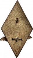 Нагрудный знак Институт Международных Отношений 