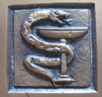 Нагрудный знак С.П. Боткин (1832-1889) 