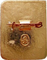 Badge  