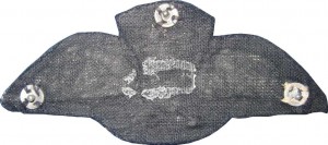 Badge Pilot 