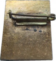 Badge  