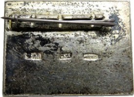 Badge  