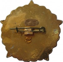 Нагрудный знак Ветеран 383  Шахтерской Дивизии 