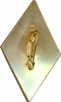 Badge  
