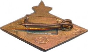Badge  