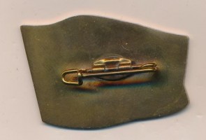 Нагрудный знак ЭМ 