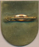 Нагрудный знак ЭМ. 