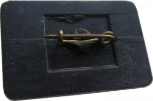 Badge  