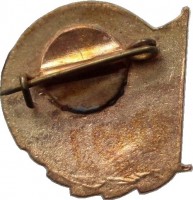 Нагрудный знак Спортклуб КГУ, ДСО Буревестник  