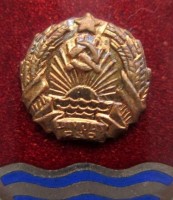 Badge  