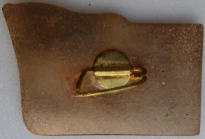 Badge  