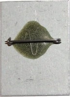 Badge  