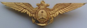 Badge Navy pilot 