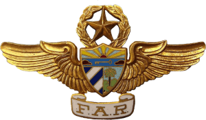 Нагрудный знак Мастер пилот 