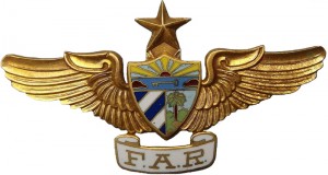 Badge Senior Pilot 