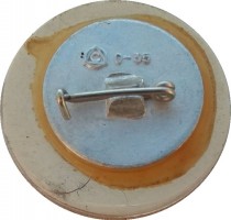 Badge  