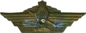 Badge  
