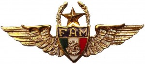 Badge Pilot, 3000 flight hours 