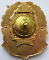 Нагрудный знак 11 отдельная авиационная эскадрилья 1993-2013 