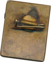 Нагрудный знак 1 Разряд Каникросс  