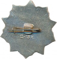 Нагрудный знак 30 Лет Части  