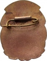 Нагрудный знак Отличник 