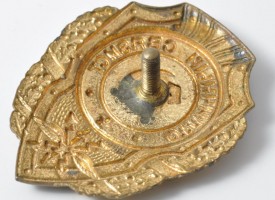 Badge  