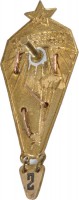 Badge Parachutist instructor, 500 jumps 