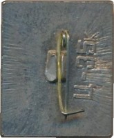 Нагрудный знак БАМ 