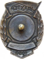 Нагрудный знак ДСО 