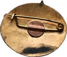 Badge  
