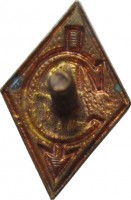 Badge  
