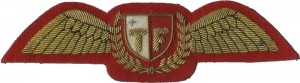 Badge Helicopter pilot 