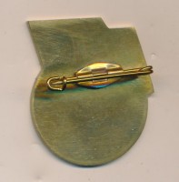 Нагрудный знак ЭМ 