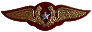 Badge Pilot 