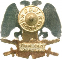 Badge ARMY SOLDIERS BERET BADGE  