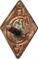 Нагрудный знак ДСО 