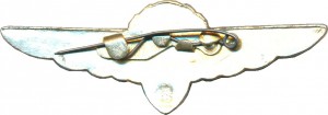 Badge  