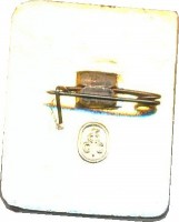 Badge  