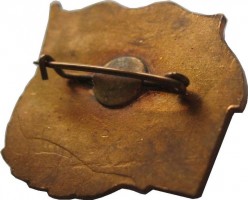 Нагрудный знак 