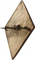 Нагрудный знак 30 лет КВВМУ. 1941-1971 