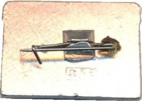 Badge  