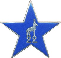 Нагрудный знак 22-ой Батальон альпийских охотников 