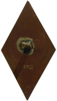Нагрудный знак ОВИМУ 