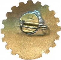 Нагрудный знак 1-ый Люблинский городской фестиваль молодежи. 1956 