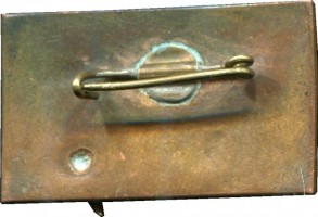Badge  