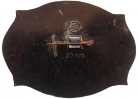 Badge  