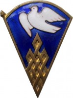 Нагрудный знак Фестиваль Молодёжи 
